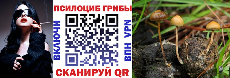 сайты даркнета какой сайт  Балтийск  Псилоцибиновые грибы прущие грибы 
